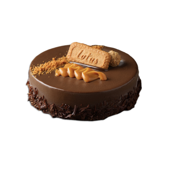 Chocolate Speculoos Cake 7'